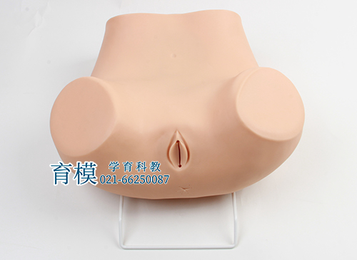高级妇科训练模型