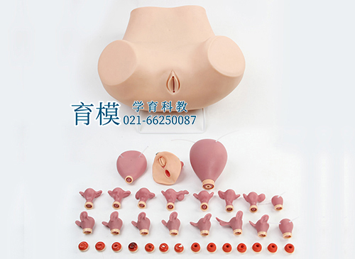 高级妇科综合检查训练模型