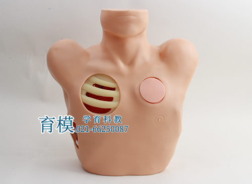 胸腔穿刺引流模型