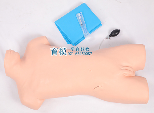 腹腔穿刺训练模型