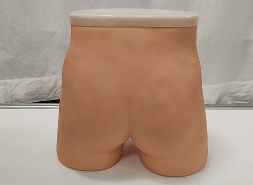 针灸臀部训练模型