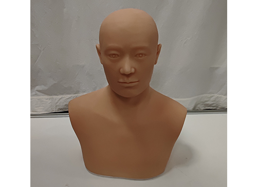 针灸头部训练模型