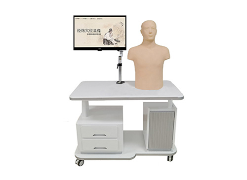 经络穴位显像多媒体教学系统