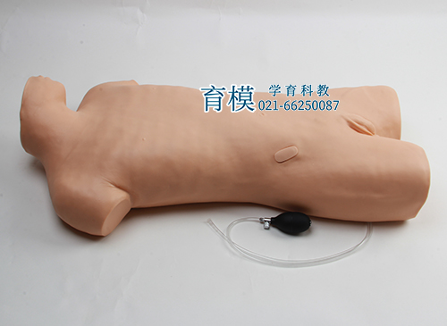 腹腔穿刺训练模型
