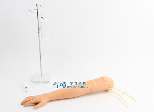 高级手臂静脉穿刺及肌肉注射训练模型