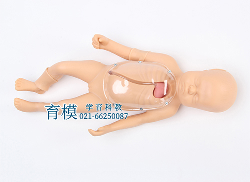 新生儿外周中心静脉插管模型