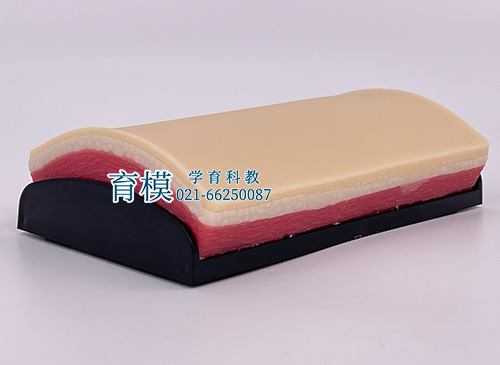 弧形皮肤缝合练习模块