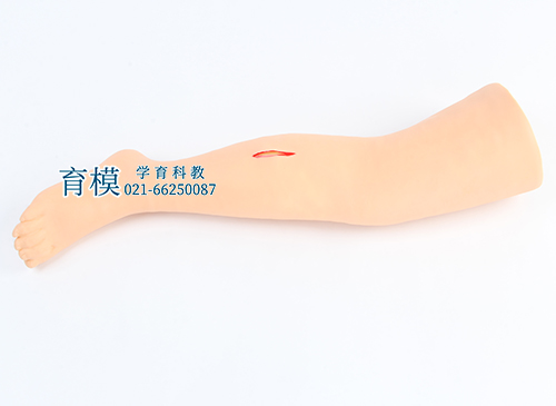 高级外科腿部缝合训练模型