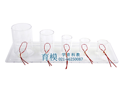 深部张力打结技能训练模型