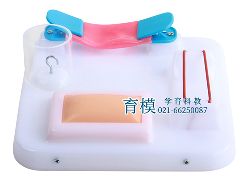 高级外科多技能训练模型