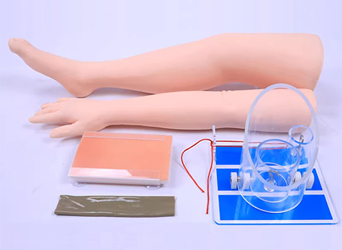 外科综合技能训练组合模型