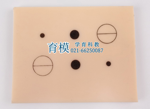 皮肤局部浸润麻醉训练模块