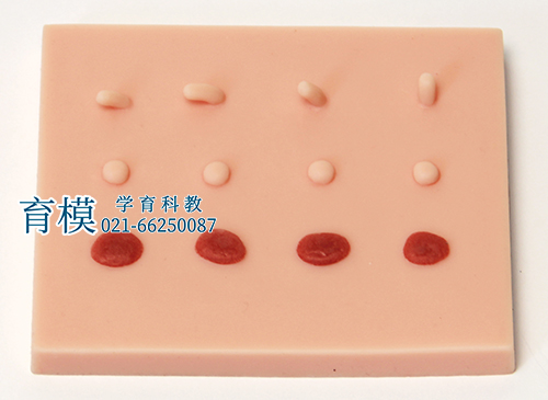 表皮常见病变处理训练模块