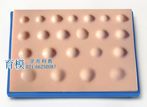 脓肿切开引流术模块