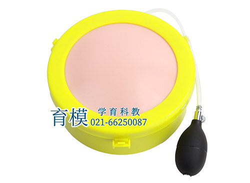 剖腹手术切开缝合模型