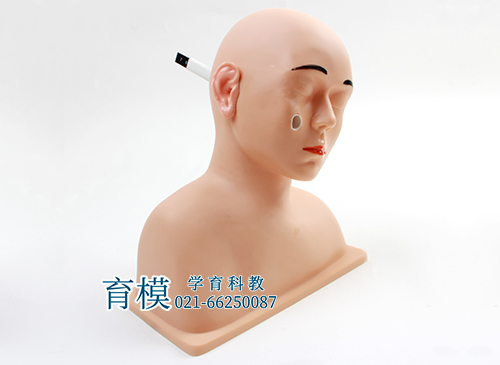 高级耳诊断模型
