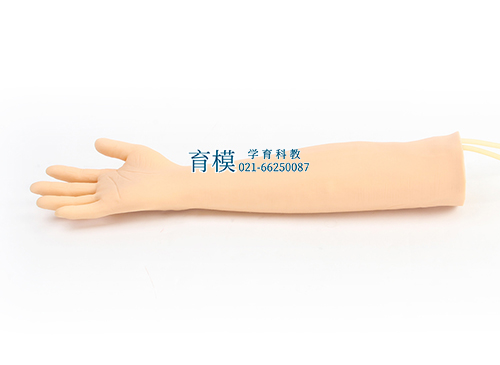 高级老年人手臂静脉穿刺训练模型