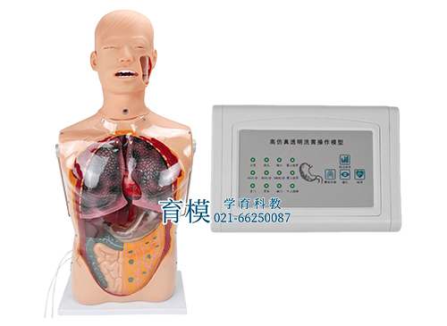多功能透明洗胃训练模型