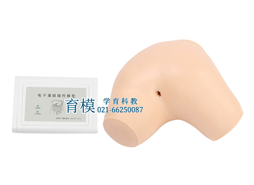 电子灌肠操作训练模型