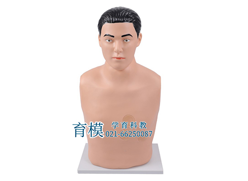 心包穿刺与心内注射训练模型
