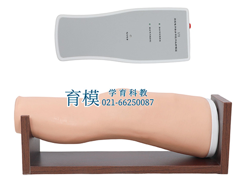 膝关节腔内注射模型
