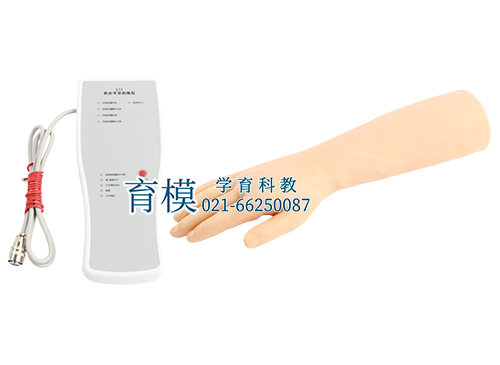 腕关节穿刺模型