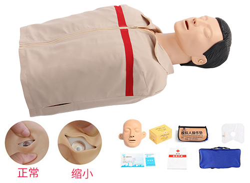 简易型半身心肺复苏模拟人